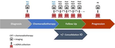Exploring the Feasibility of Utilizing Limited Gene Panel Circulating Tumor DNA Clearance as a Biomarker in Patients With Locally Advanced Non-Small Cell Lung Cancer